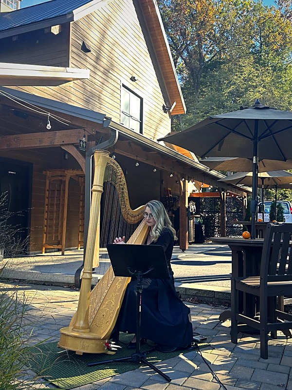 Cocktail patio outside the hall with high-top tables, umbrellas, and a harpist playing at the rail