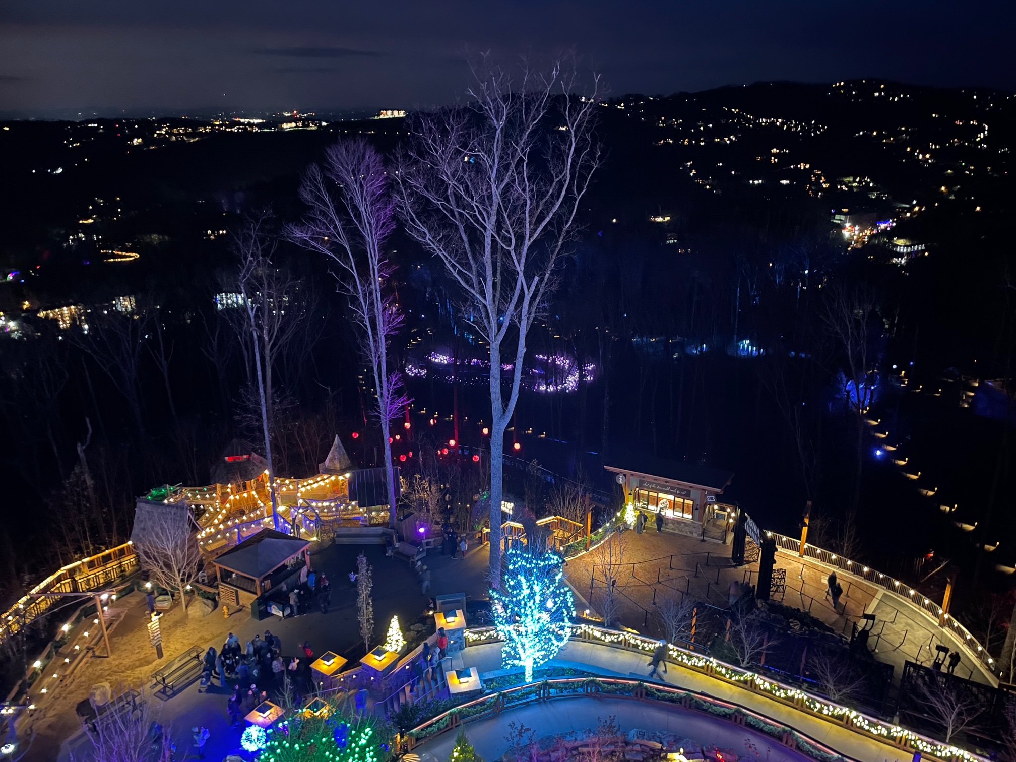 Anakeesta — Astra Lumina glowing blue tree at night, Gatlinburg, Tennessee