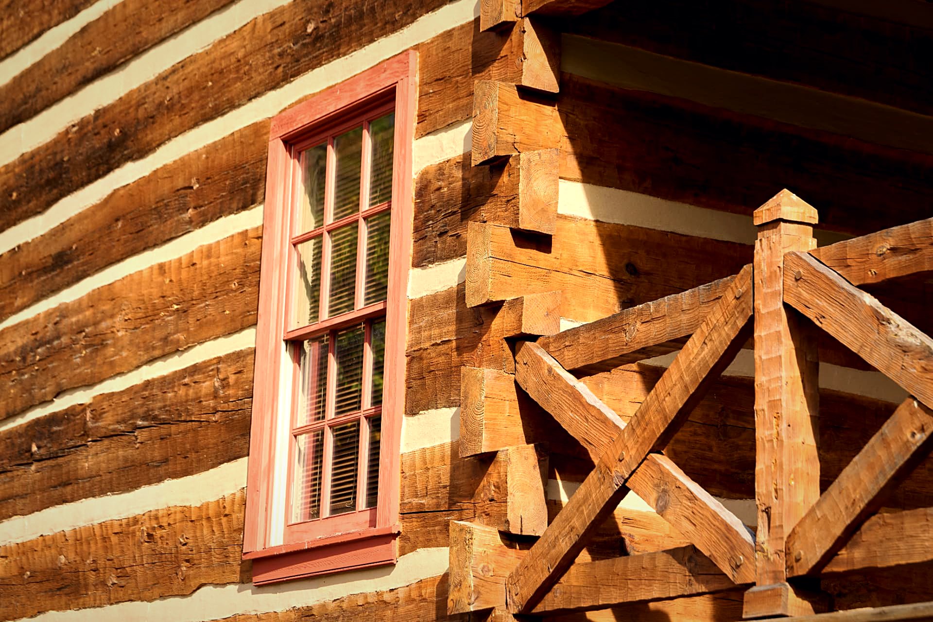 Macro detail of a dovetail corner — saw marks, chinking line, and weathered log face