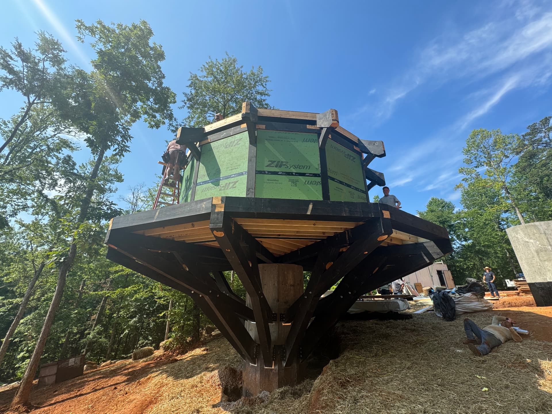 Elven Treehouse under construction — octagonal timber frame cantilevered on a single stem post