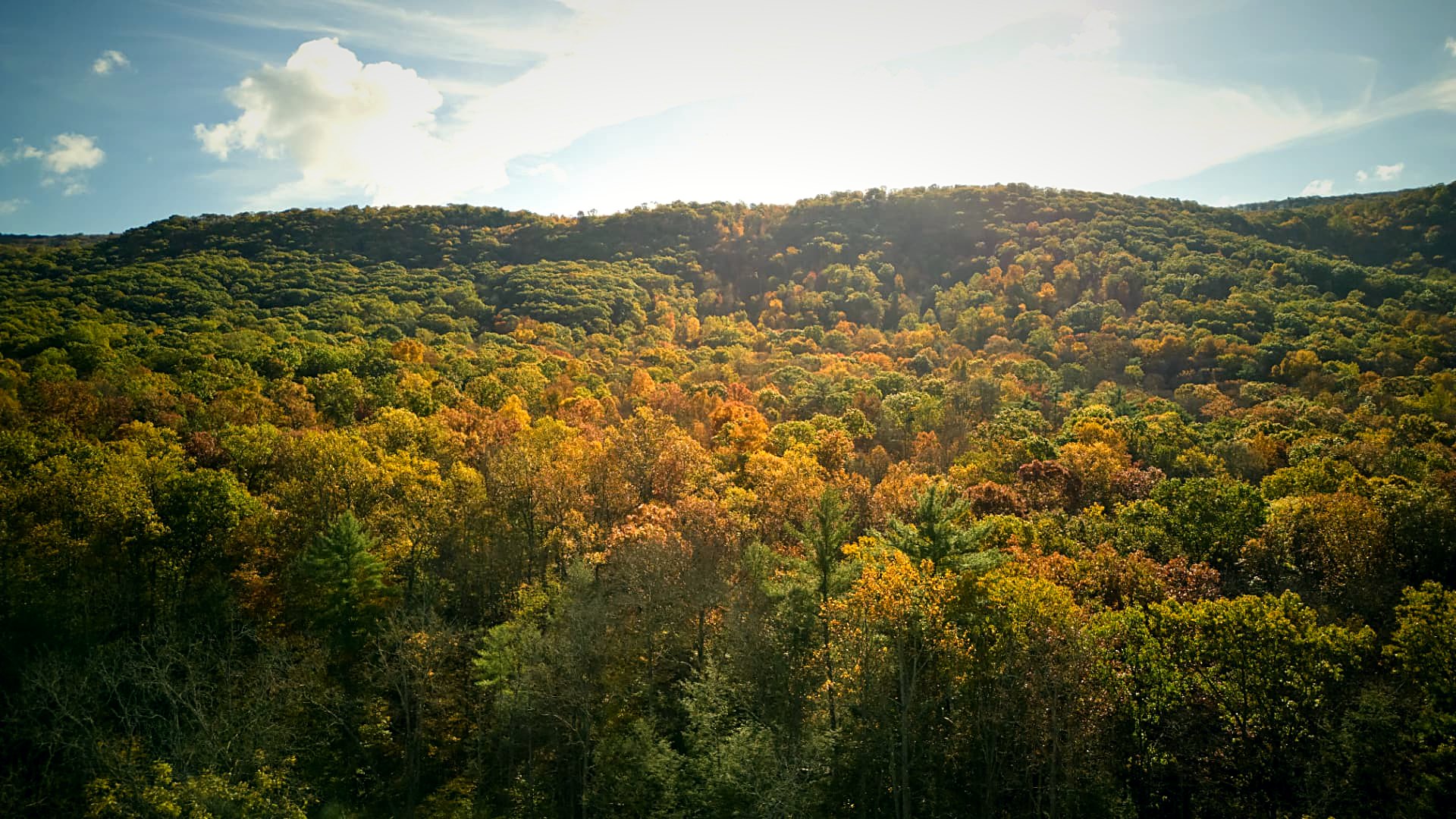 Rolling forested ridges behind the property in late autumn