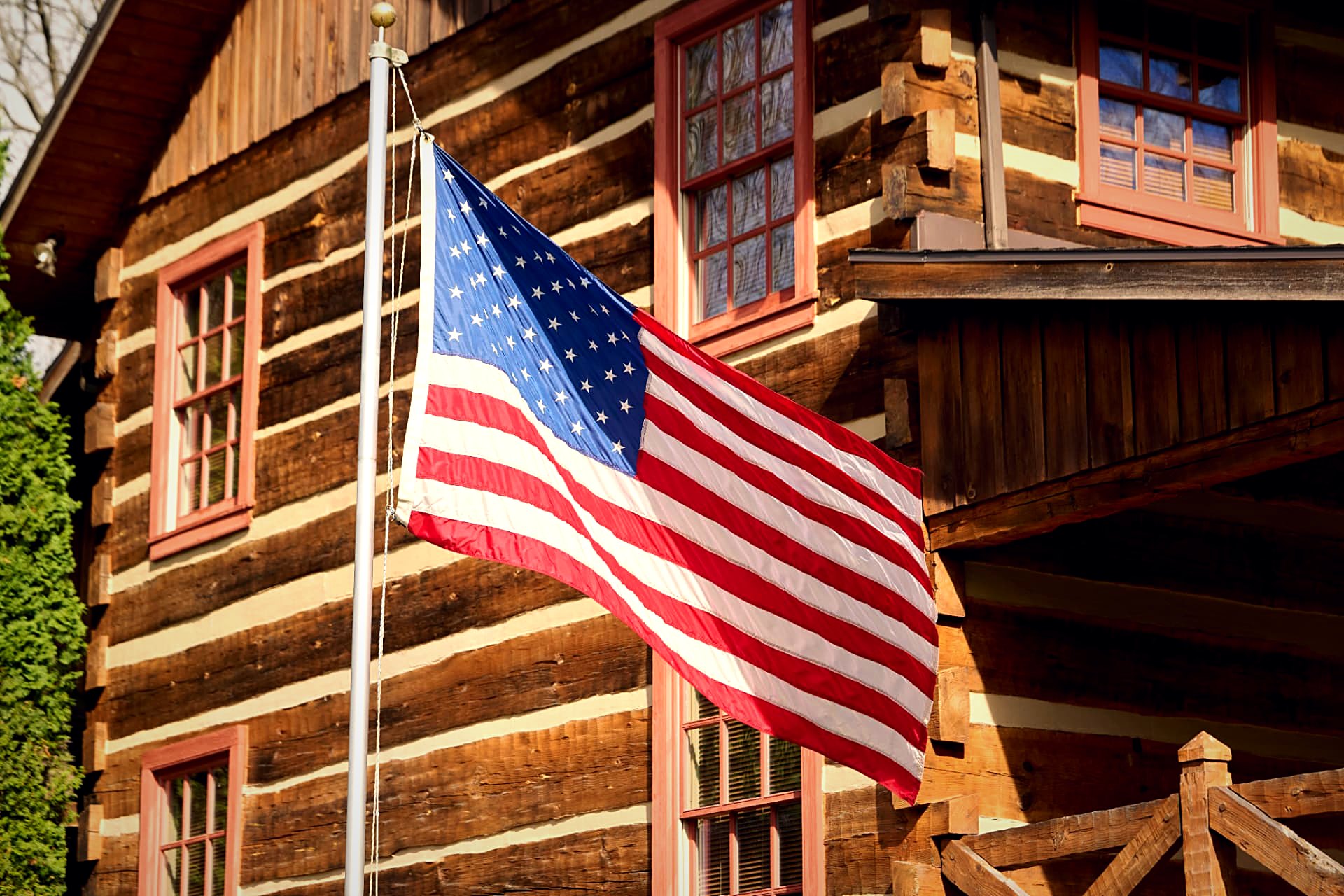 The flag against hewn log walls