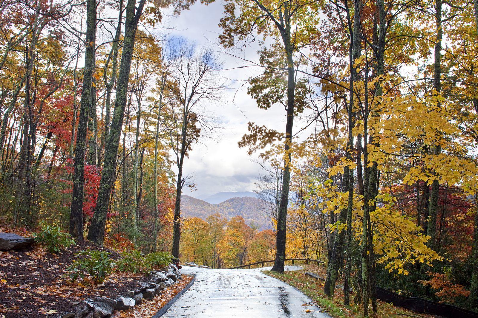Hughes log home — porch and hewn-log wall