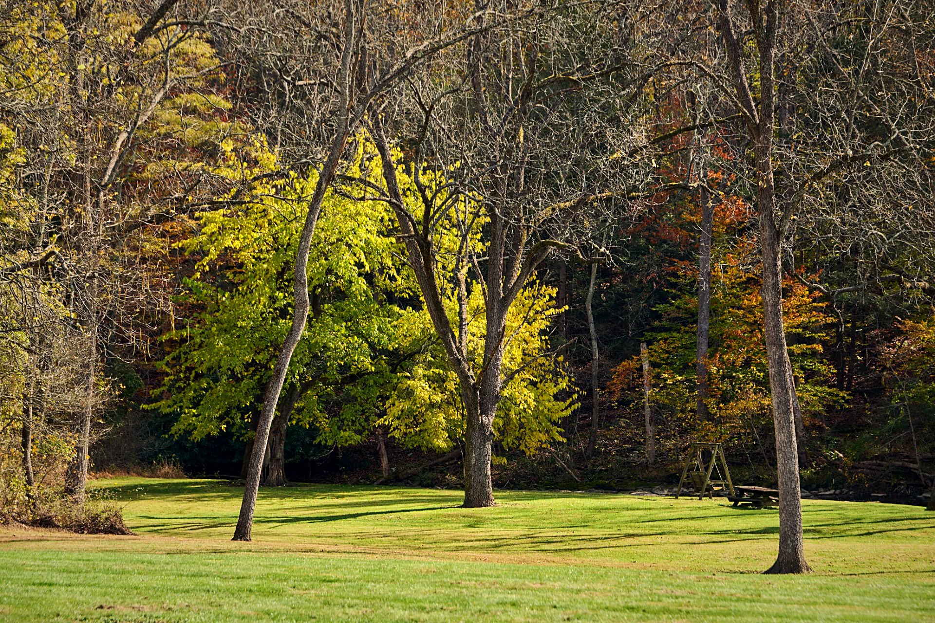 The creek meadow below the house in late October
