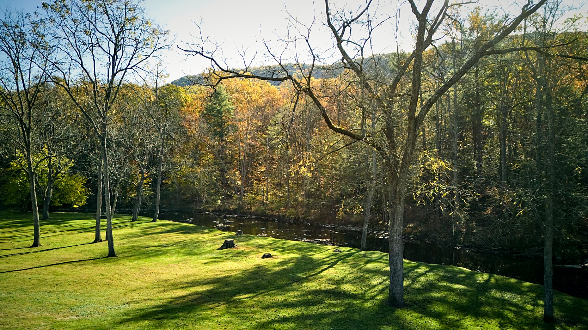 The house nestled between forest edge and open field